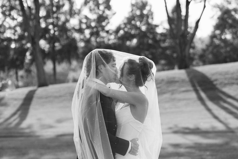 Portraits with the veil