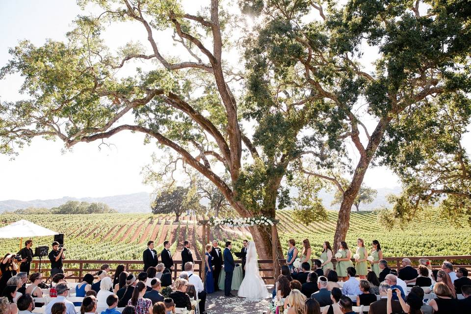 B.R. Cohn Winery Wedding