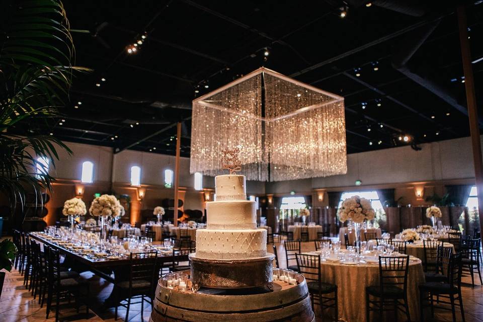 The Palms Event Center Wedding