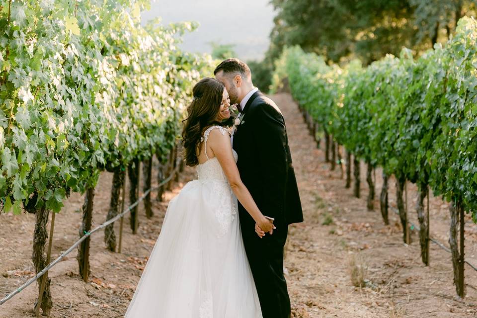 B.R. Cohn Winery Wedding