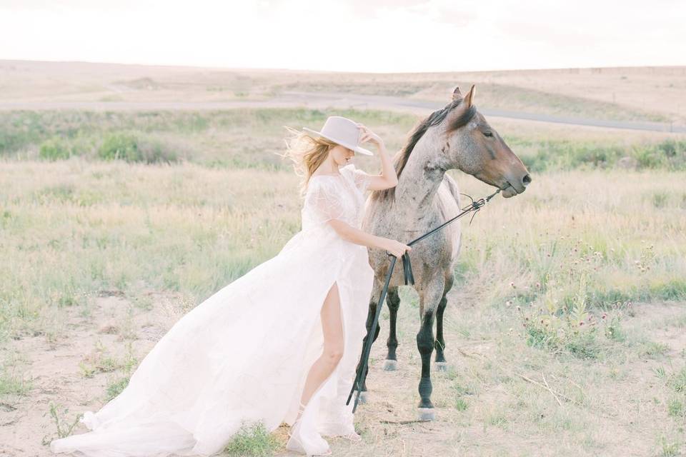 Plains of Colorado