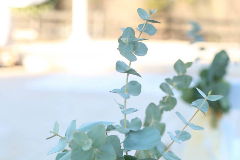 Leaf decorations