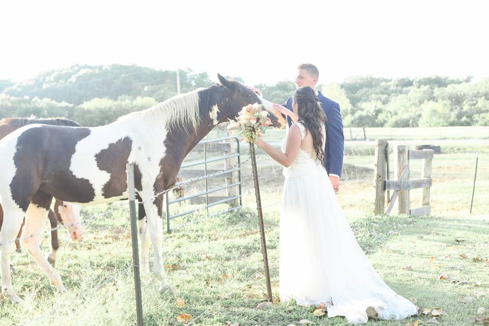 St Louis Ranch Wedding, St. Charles Wedding Photographer, Fall Wedding, Bri Whitman Photography