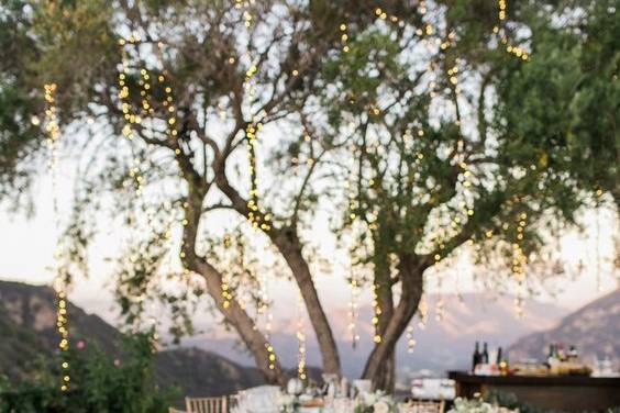 Gorgeous outdoors reception