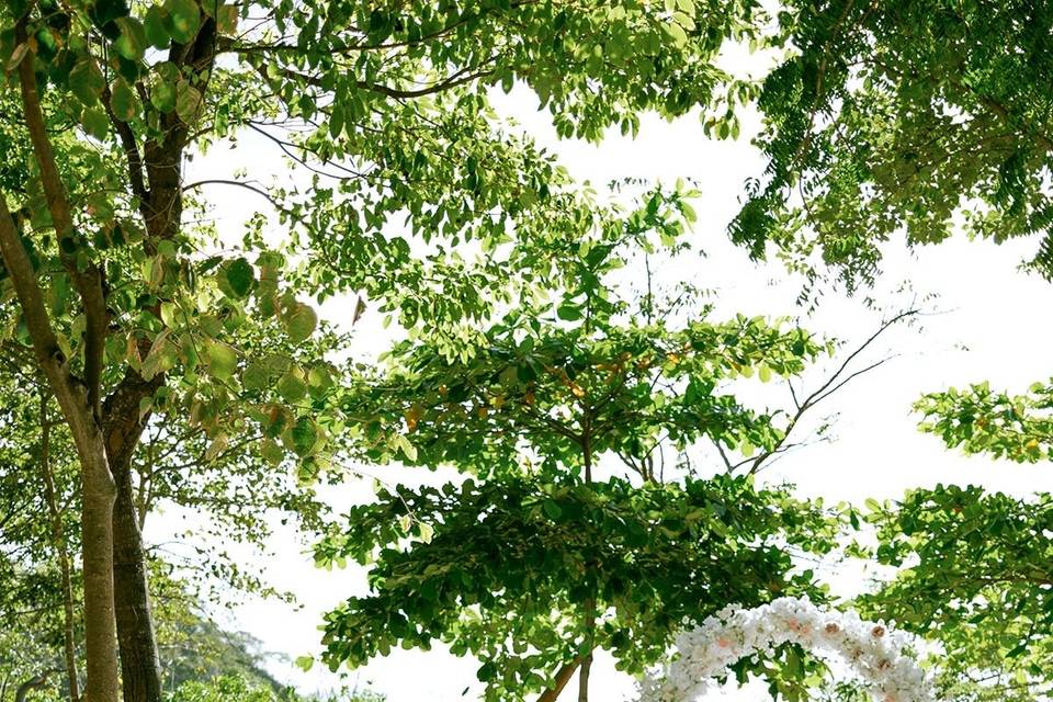 Beach Wedding Costa Rica