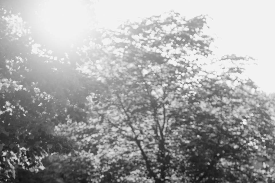Maddie & Steve's Wedding