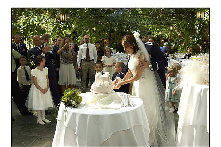 Cake cutting