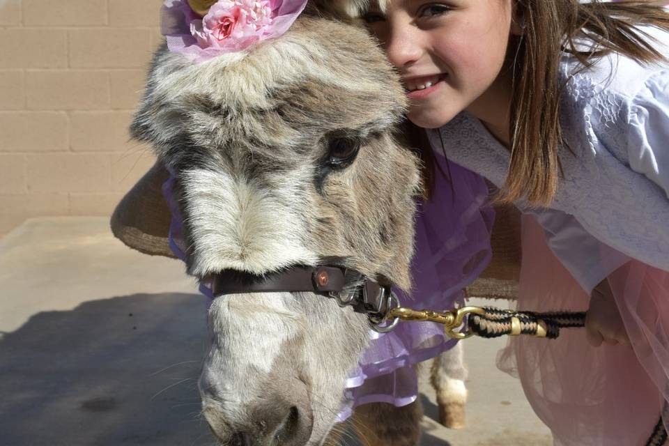 Charlotte & her Unicorn