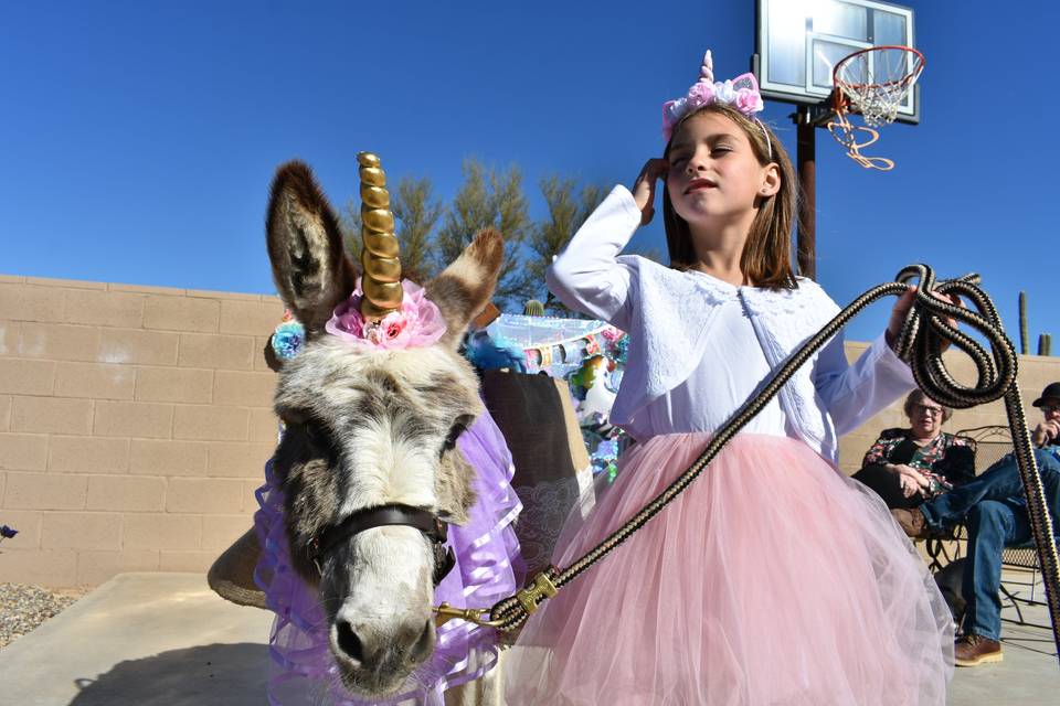 Charlotte & her Unicorn