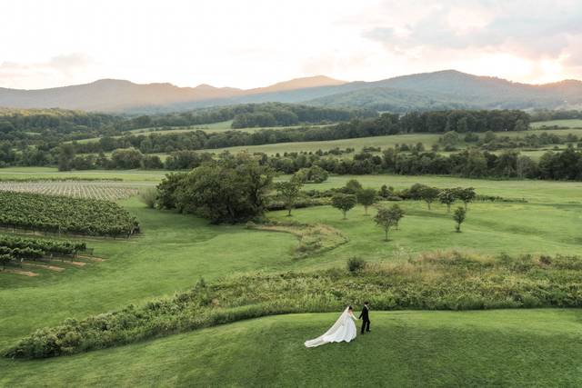 Shannon Moffit Photography