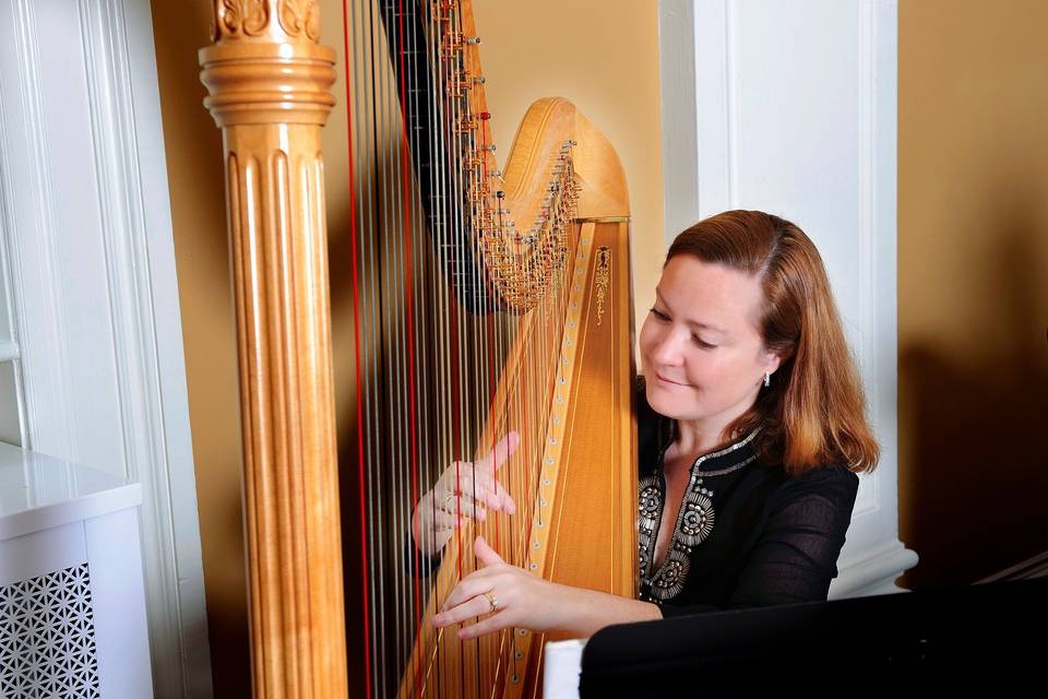 Macon Harpist Betsy Fitzgerald