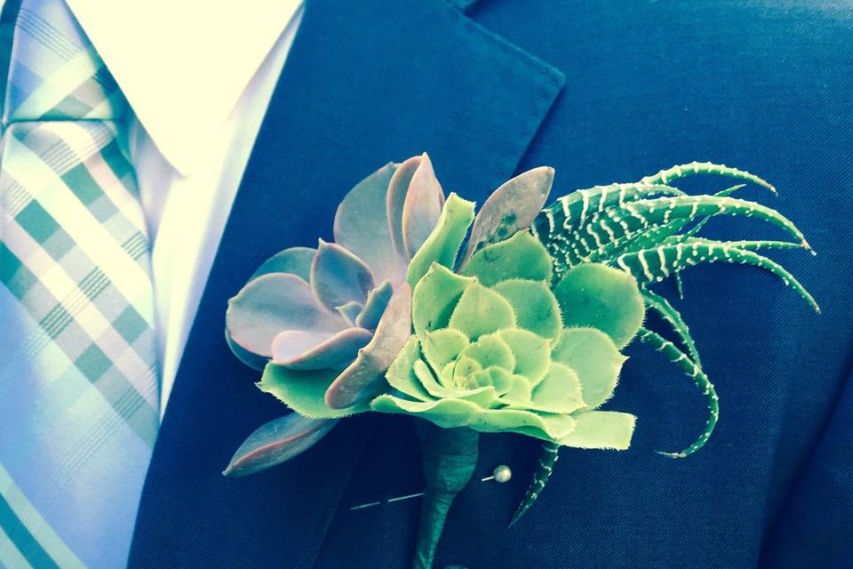 Succulent boutonniere