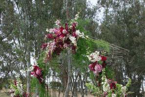 Red flowers