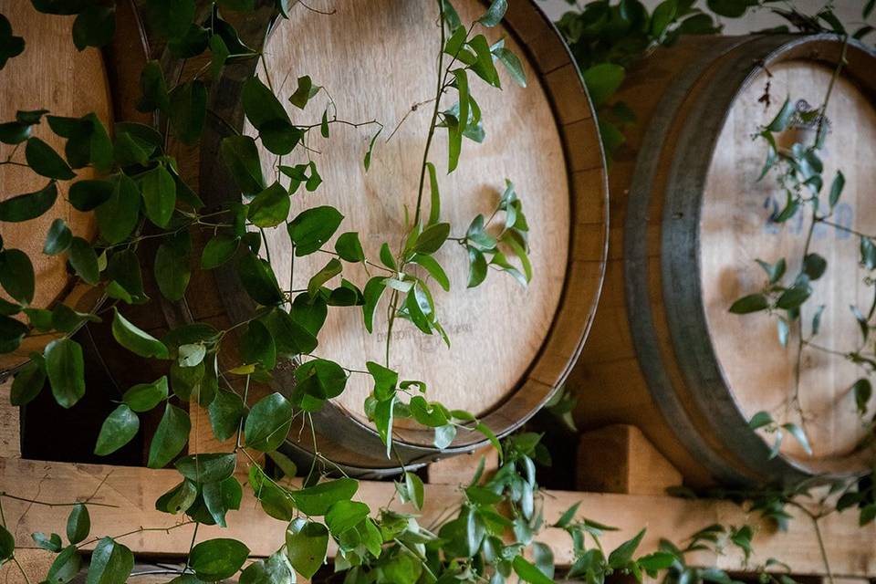 Smilax Wine Barrel Wall