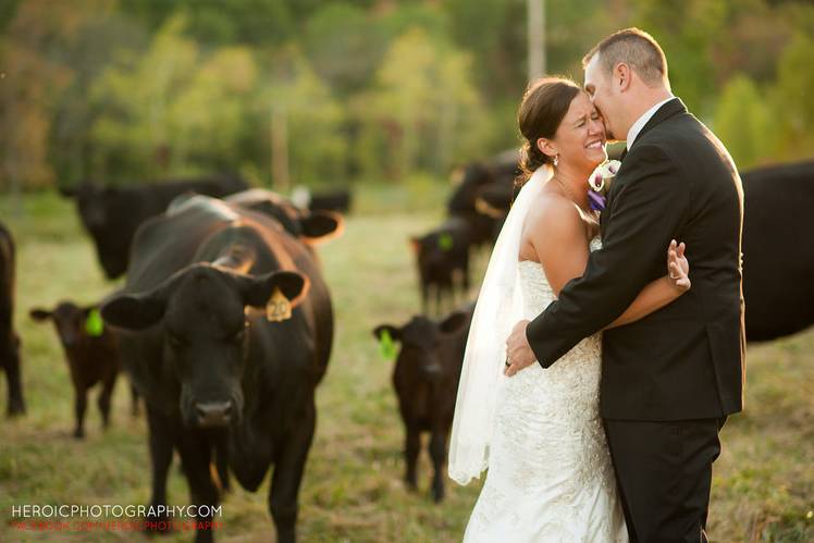 Square Wood Centerpiece Bases — Haue Valley: St. Louis Wedding Venues