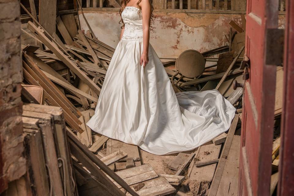 Joey Taylor Photography