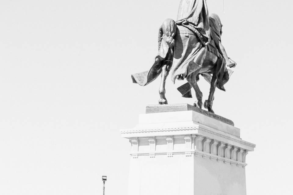 St. Louis Art Museum Wedding