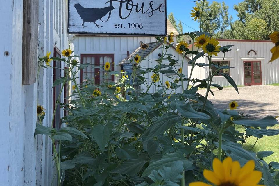 Hen House accomodations