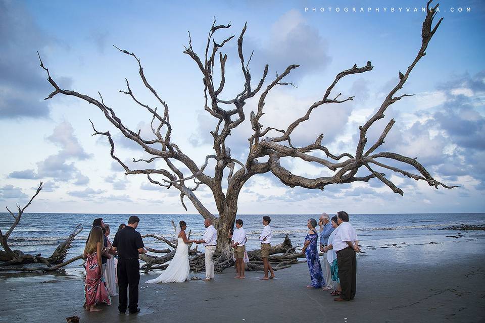 Sun and Sea Beach Weddings