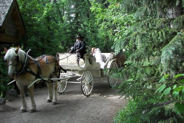 wedding carriage ACES