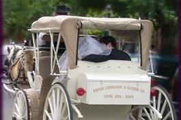 wedding carriage back