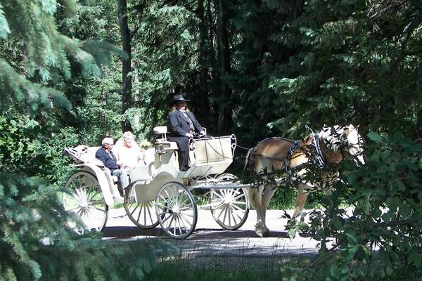 Aspen Carriage and Sleigh