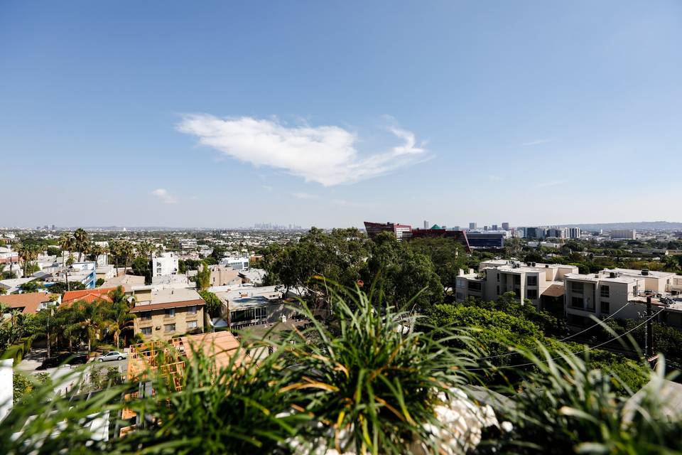 View From Roof Top