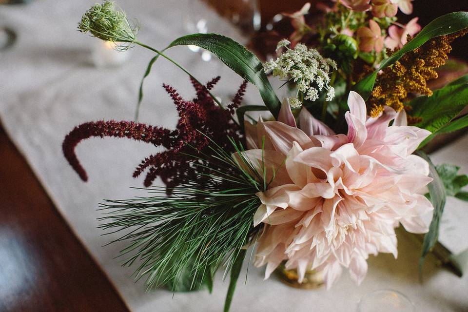 Cafe au lait dahlias