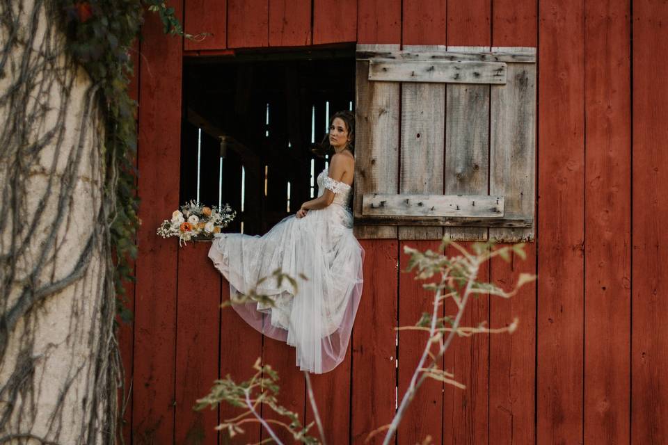 Barn window