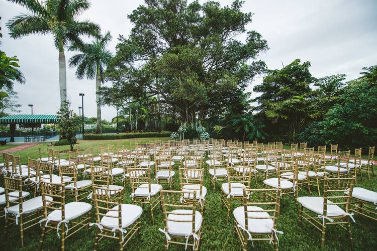 Ceremony by banyan tree