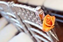 Something Borrowed