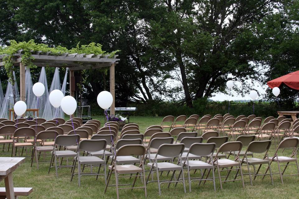 Backdrop of trees