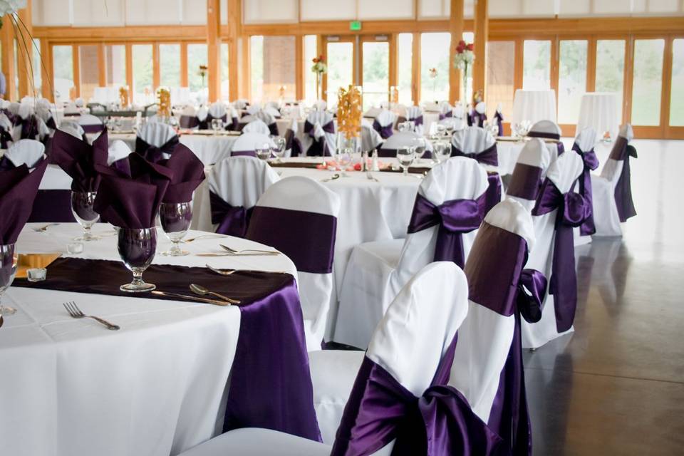 Chair covers + sashes