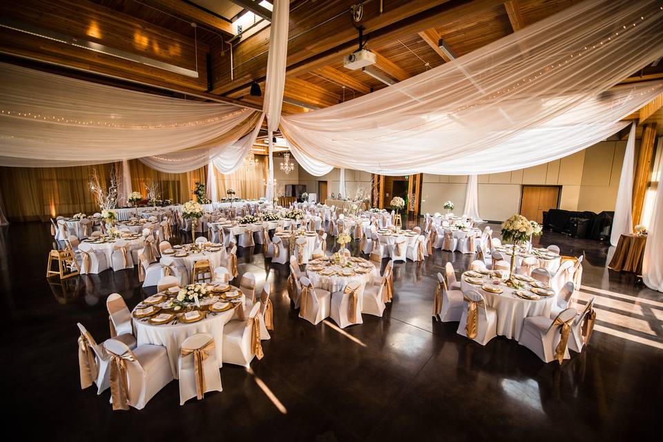 Chair covers + sashes