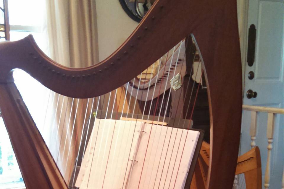 Anne's Cunningham lever harp