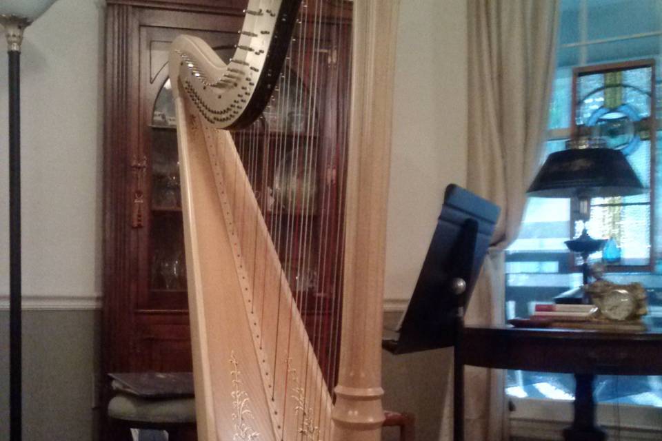 Anne's Lyon & Healy pedal harp
