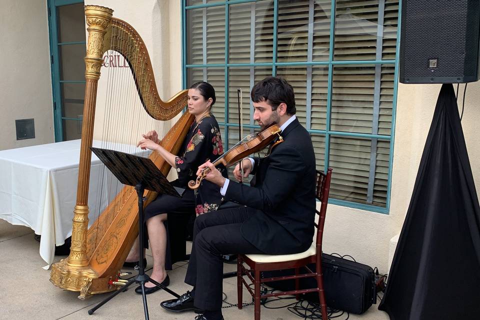 Harpist & Violin Duo