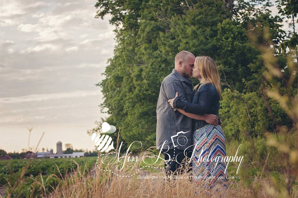 Port Huron Michigan Blue Barn Engagement session.