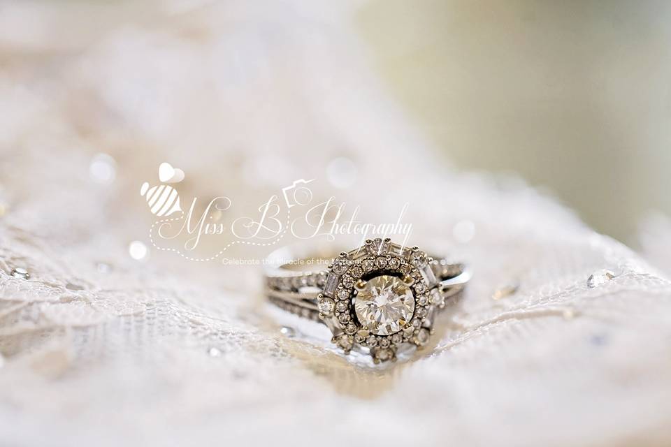 Detroit Michigan Spring Wedding-Bridal suiteroyal park hotel ring detail shot