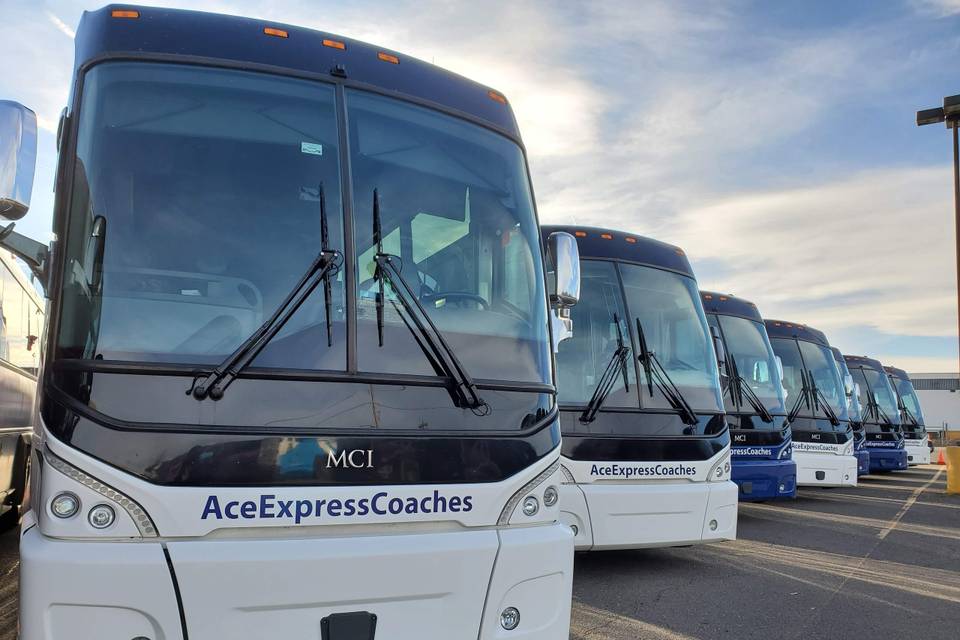Ace Express Coaches
