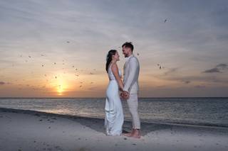 Colosal Weddings