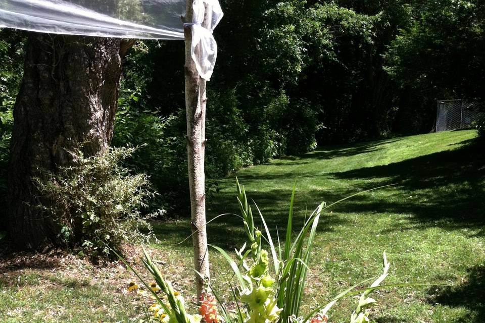 Chuppah on white birch poles near a pond at Tower Hill Botanical Garden, Boylston.