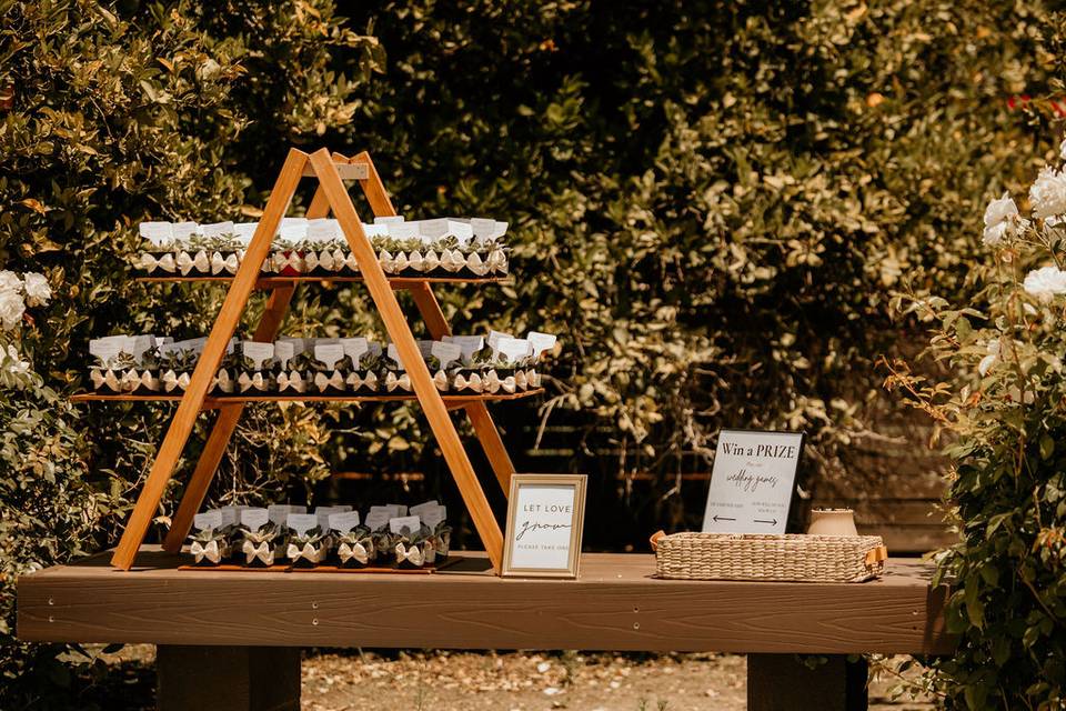 Succulent Wedding Favors