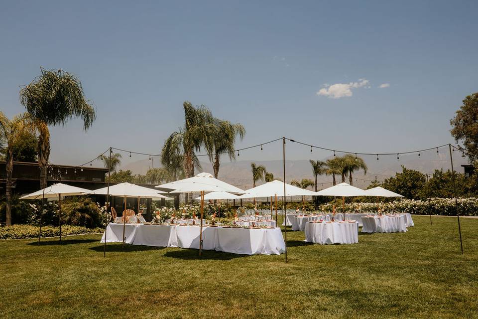 Outdoor Wedding Reception