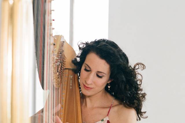 Shari Latz Rothman Harpist