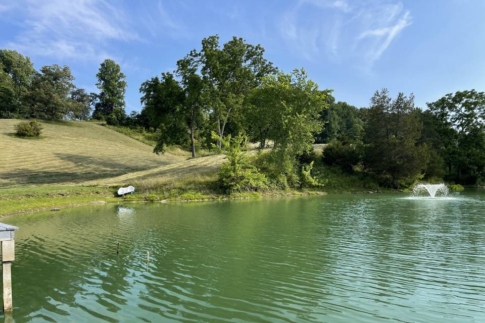 View from by the Pond