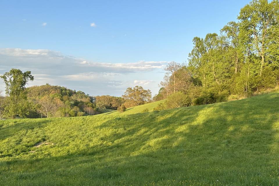 Views of the Property