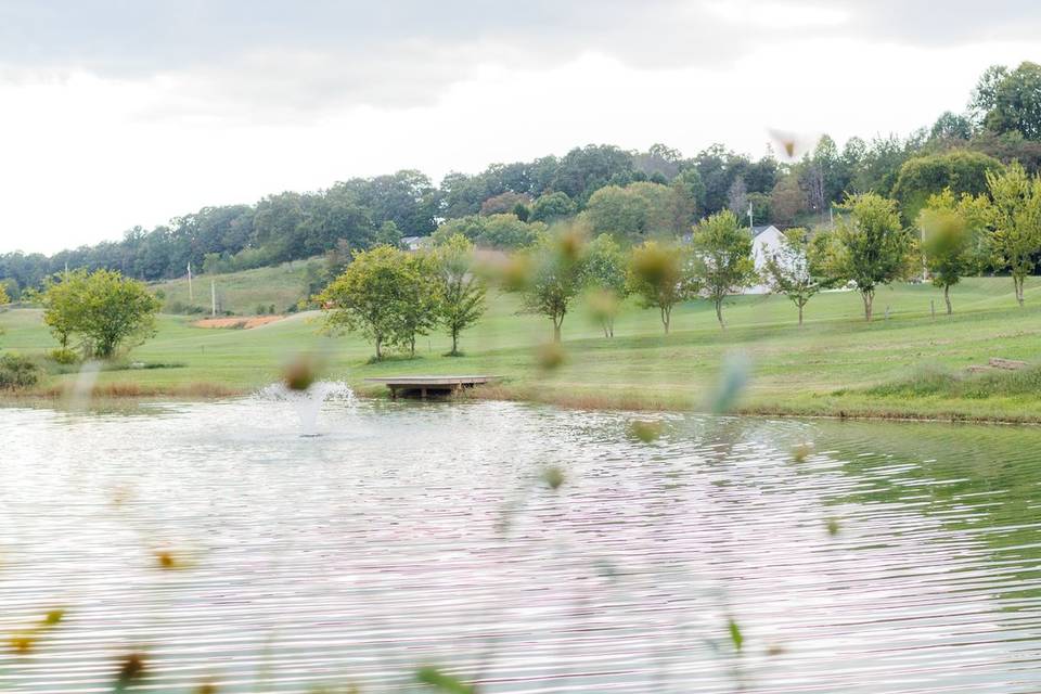 Turtle Pond in the Summer