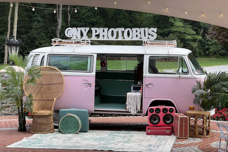 Pink Bus