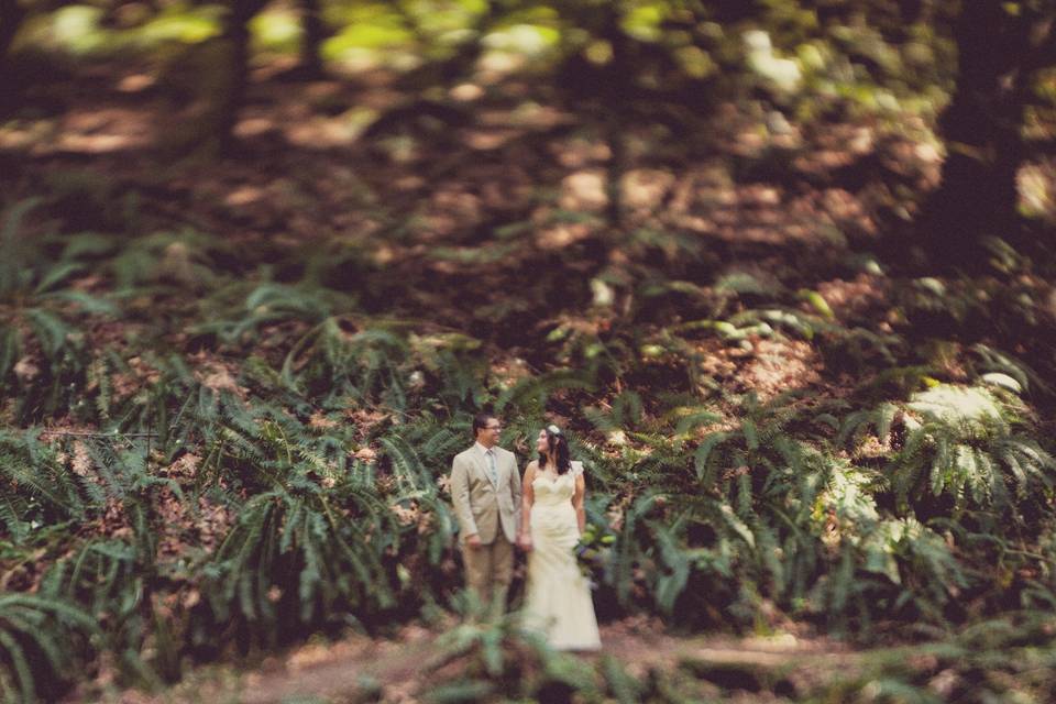 Couple: Kelsy & Derek
Anniversary: 6/22/2013
Location: Minnesota
Photographer: Eileen K Photography
Product: Niceties Dress